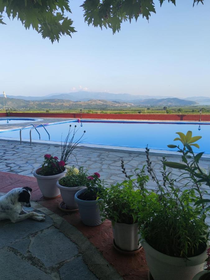 Περι Ανεμων Hotel Zervi Luaran gambar